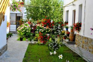 poze din curtea de arges cazare